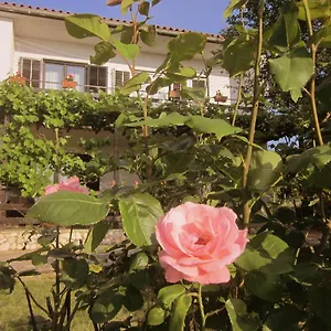 Iva Apartman